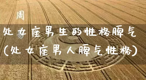 处女座男生的性格脾气(处女座男人脾气性格)_https://www.nbtfsb.com_易经起名_第1张