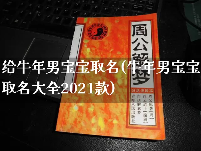给牛年男宝宝取名(牛年男宝宝取名大全2021款)_https://www.nbtfsb.com_五行风水_第1张