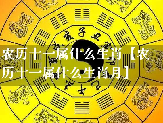 农历十一属什么生肖【农历十一属什么生肖月】_https://www.nbtfsb.com_八字算命_第1张
