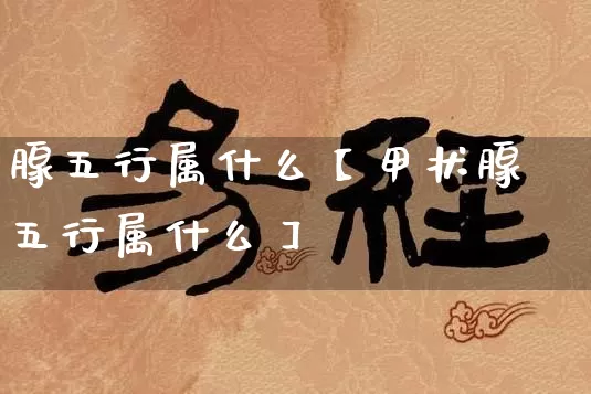 腺五行属什么【甲状腺五行属什么】_https://www.nbtfsb.com_周公解梦_第1张