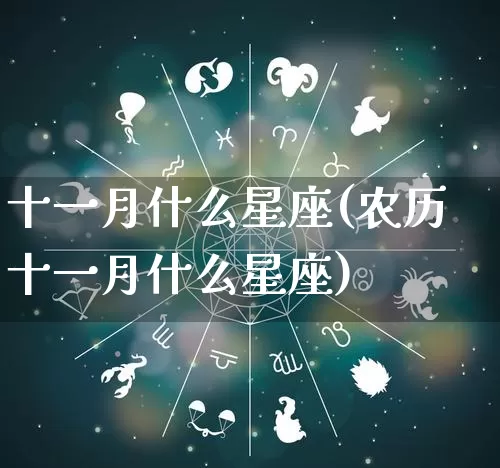 十一月什么星座(农历十一月什么星座)_https://www.nbtfsb.com_易经起名_第1张