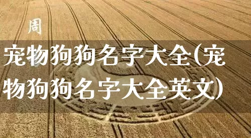 宠物狗狗名字大全(宠物狗狗名字大全英文)_生肖星座_第1张_易东行 宠物狗狗名字大全(宠物狗狗名字大全英文)_https://www.nbtfsb.com_生肖星座_第1张