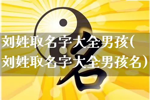 刘姓取名字大全男孩(刘姓取名字大全男孩名)_https://www.nbtfsb.com_道源国学_第1张