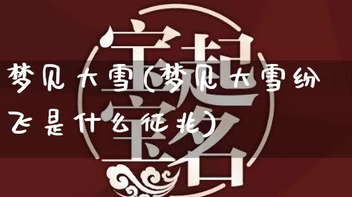 梦见大雪(梦见大雪纷飞是什么征兆)_https://www.nbtfsb.com_道源国学_第1张