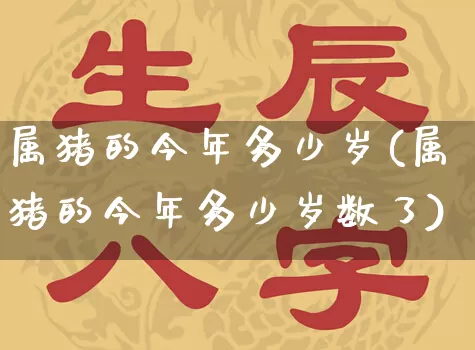 属猪的今年多少岁(属猪的今年多少岁数了)_https://www.nbtfsb.com_生肖星座_第1张