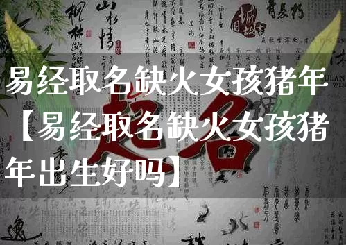 易经取名缺火女孩猪年【易经取名缺火女孩猪年出生好吗】_https://www.nbtfsb.com_五行风水_第1张