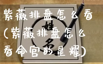 紫薇排盘怎么看(紫薇排盘怎么看命宫的星耀)_https://www.nbtfsb.com_国学动态_第1张