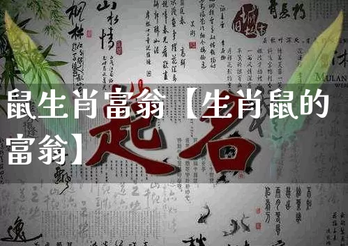 鼠生肖富翁【生肖鼠的富翁】_https://www.nbtfsb.com_周公解梦_第1张