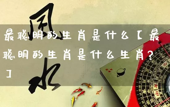 最聪明的生肖是什么【最聪明的生肖是什么生肖?】_https://www.nbtfsb.com_国学动态_第1张