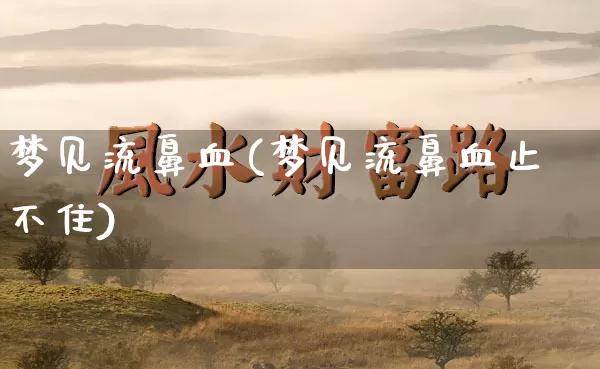 梦见流鼻血(梦见流鼻血止不住)_https://www.nbtfsb.com_生肖星座_第1张