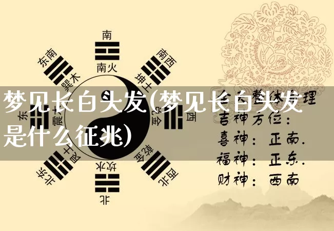 梦见长白头发(梦见长白头发是什么征兆)_https://www.nbtfsb.com_周公解梦_第1张