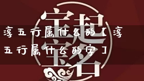 淳五行属什么的【淳五行属什么的字】_https://www.nbtfsb.com_易经起名_第1张