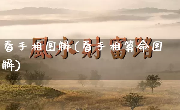 看手相图解(看手相算命图解)_https://www.nbtfsb.com_国学动态_第1张