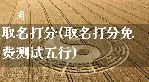取名打分(取名打分免费测试五行)_https://www.nbtfsb.com_国学动态_第1张
