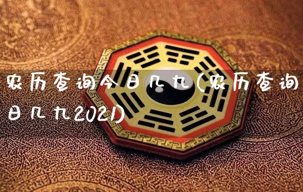 农历查询今日几九(农历查询今日几九2021)_https://www.nbtfsb.com_周公解梦_第1张