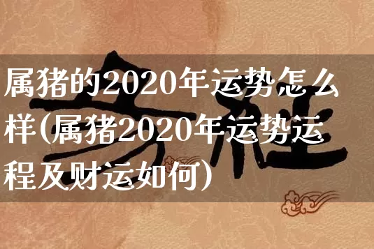 属猪的2020年运势怎么样(属猪2020年运势运程及财运如何)_https://www.nbtfsb.com_周公解梦_第1张