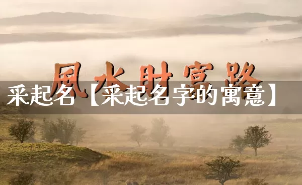 采起名【采起名字的寓意】_https://www.nbtfsb.com_生肖星座_第1张