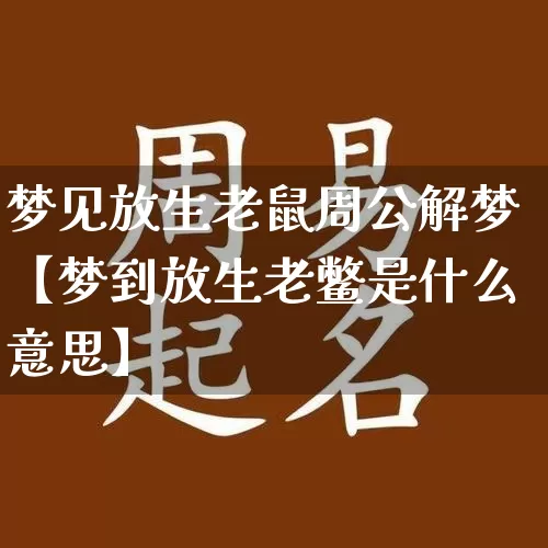 梦见放生老鼠周公解梦【梦到放生老鳖是什么意思】_https://www.nbtfsb.com_周公解梦_第1张