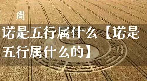 诺是五行属什么【诺是五行属什么的】_https://www.nbtfsb.com_八字算命_第1张