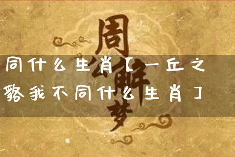 同什么生肖【一丘之貉我不同什么生肖】_https://www.nbtfsb.com_八字算命_第1张