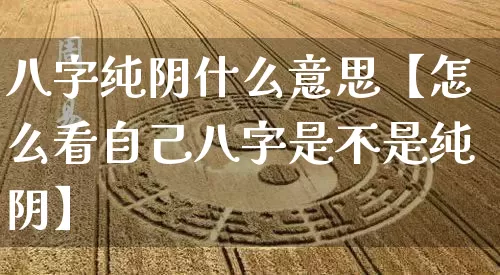八字纯阴什么意思【怎么看自己八字是不是纯阴】_https://www.nbtfsb.com_易经起名_第1张