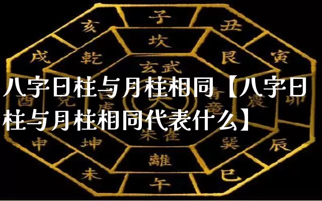 八字日柱与月柱相同【八字日柱与月柱相同代表什么】_https://www.nbtfsb.com_道源国学_第1张