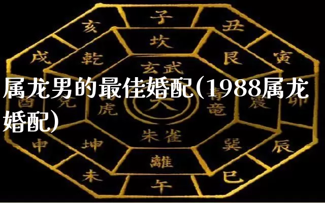 属龙男的最佳婚配(1988属龙婚配)_https://www.nbtfsb.com_生肖星座_第1张
