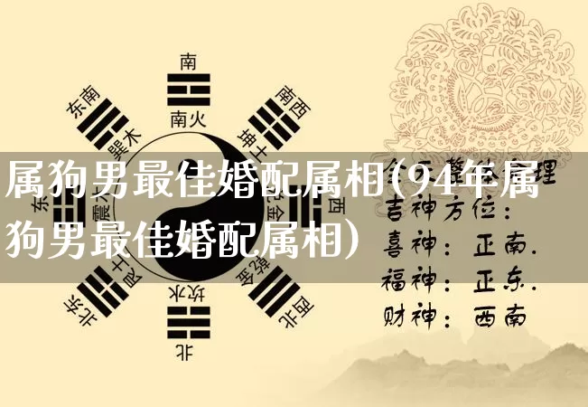 属狗男最佳婚配属相(94年属狗男最佳婚配属相)_https://www.nbtfsb.com_道源国学_第1张