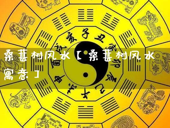 桑葚树风水【桑葚树风水寓意】_https://www.nbtfsb.com_易经起名_第1张