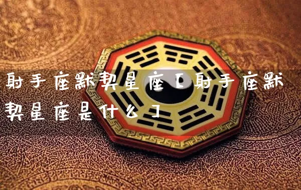 射手座默契星座【射手座默契星座是什么】_https://www.nbtfsb.com_国学动态_第1张