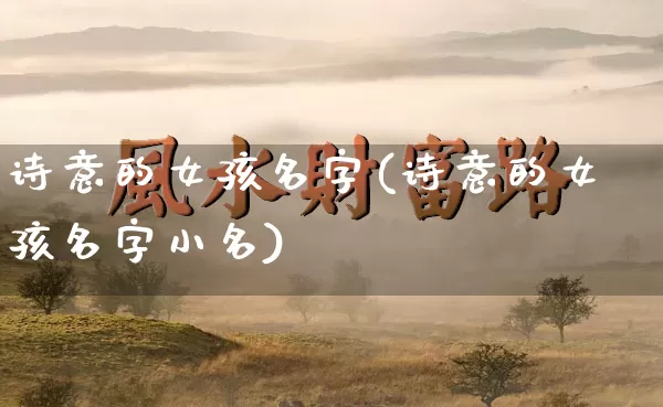 诗意的女孩名字(诗意的女孩名字小名)_https://www.nbtfsb.com_易经起名_第1张
