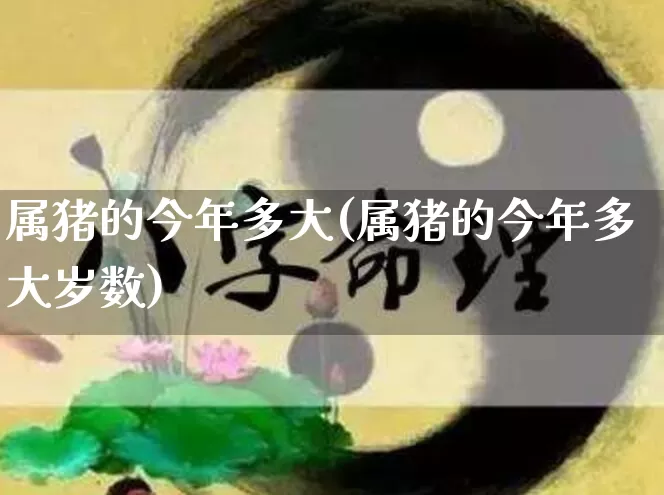 属猪的今年多大(属猪的今年多大岁数)_https://www.nbtfsb.com_生肖星座_第1张