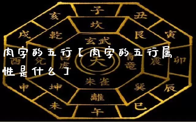 肉字的五行【肉字的五行属性是什么】_https://www.nbtfsb.com_易经起名_第1张