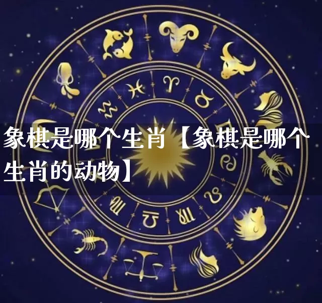象棋是哪个生肖【象棋是哪个生肖的动物】_https://www.nbtfsb.com_国学动态_第1张