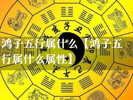 鸿子五行属什么【鸿子五行属什么属性】_https://www.nbtfsb.com_八字算命_第1张