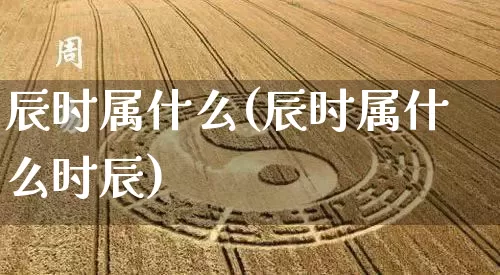 辰时属什么(辰时属什么时辰)_https://www.nbtfsb.com_五行风水_第1张