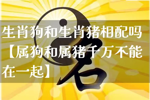 生肖狗和生肖猪相配吗【属狗和属猪千万不能在一起】_https://www.nbtfsb.com_国学动态_第1张