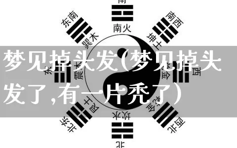 梦见掉头发(梦见掉头发了,有一片秃了)_https://www.nbtfsb.com_国学动态_第1张