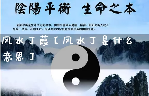 风水丁葭【风水丁是什么意思】_https://www.nbtfsb.com_周公解梦_第1张