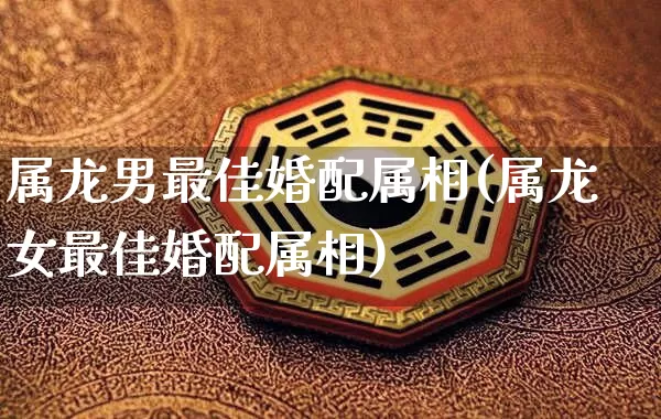 属龙男最佳婚配属相(属龙女最佳婚配属相)_https://www.nbtfsb.com_生肖星座_第1张