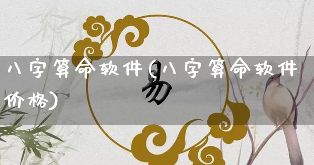 八字算命软件(八字算命软件价格)_https://www.nbtfsb.com_易经起名_第1张