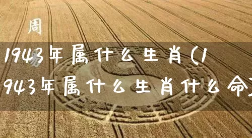 1943年属什么生肖(1943年属什么生肖什么命)_https://www.nbtfsb.com_周公解梦_第1张