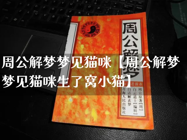 周公解梦梦见猫咪【周公解梦梦见猫咪生了窝小猫】_https://www.nbtfsb.com_五行风水_第1张