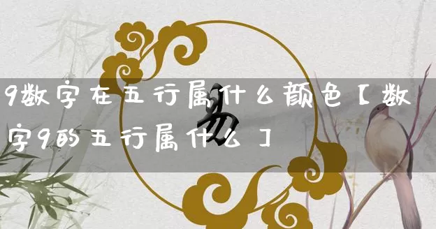 9数字在五行属什么颜色【数字9的五行属什么】_https://www.nbtfsb.com_五行风水_第1张