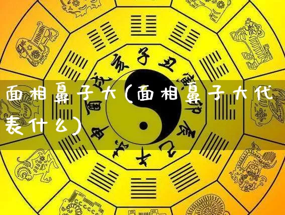 面相鼻子大(面相鼻子大代表什么)_https://www.nbtfsb.com_国学动态_第1张