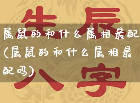 属鼠的和什么属相最配(属鼠的和什么属相最配吗)_https://www.nbtfsb.com_国学动态_第1张