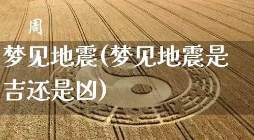 梦见地震(梦见地震是吉还是凶)_https://www.nbtfsb.com_易经起名_第1张