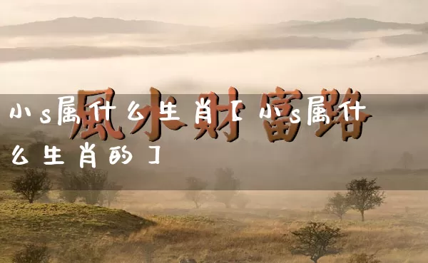 小s属什么生肖【小s属什么生肖的】_https://www.nbtfsb.com_生肖星座_第1张