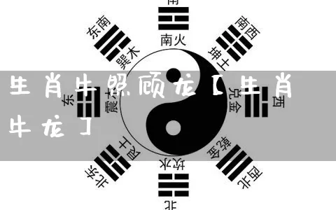 生肖牛照顾龙【生肖牛龙】_https://www.nbtfsb.com_易经起名_第1张