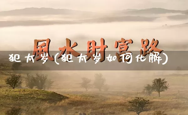 犯太岁(犯太岁如何化解)_https://www.nbtfsb.com_国学动态_第1张
